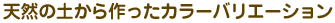 �V�R�̓y���������J���[�o���G�[�V����