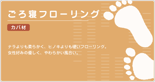 ごろ寝フローリング カバ