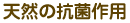 �V�R�̍R�ۍ�p