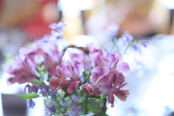 名月荘花