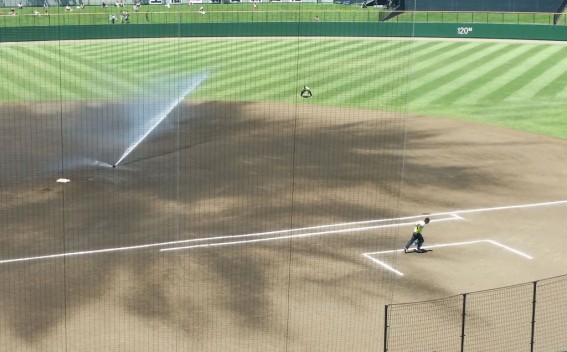 公園の中を吹く風は気持ちがいい