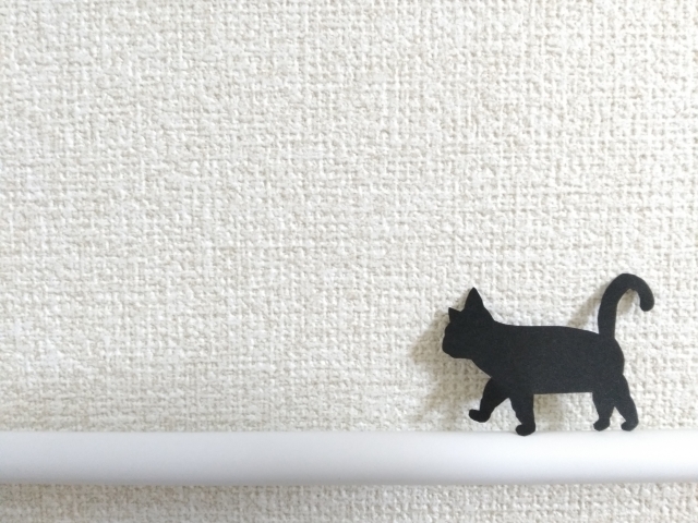 壁　猫
