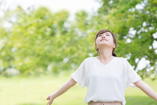 森林浴は気持ちがよい