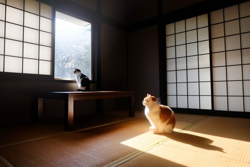 自然素材を使った家づくり