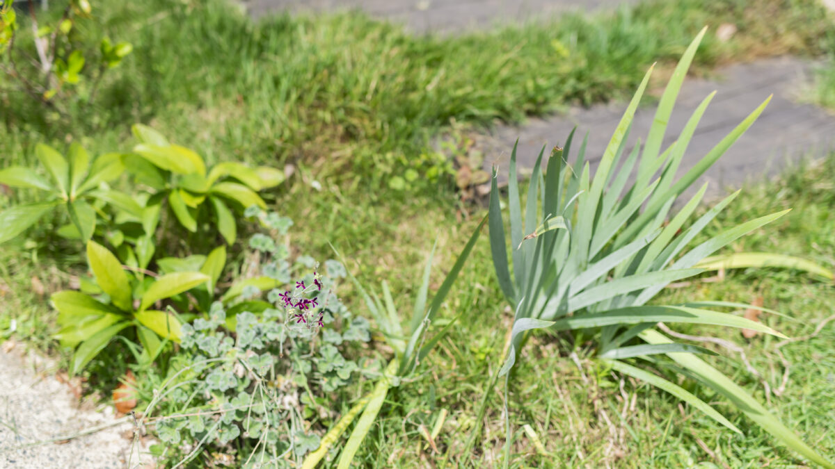 剪定枝や抜いた草をゴミにしない ガーデニング用コンポストは 自分で簡単に作れます 無垢 漆喰 珪藻土 自然素材の内装材ブログ アトピッコハウス