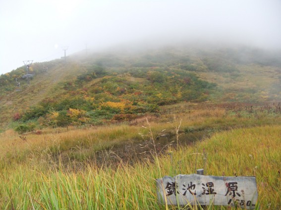 白馬八方尾根の上は雨模様で霧だらけでした