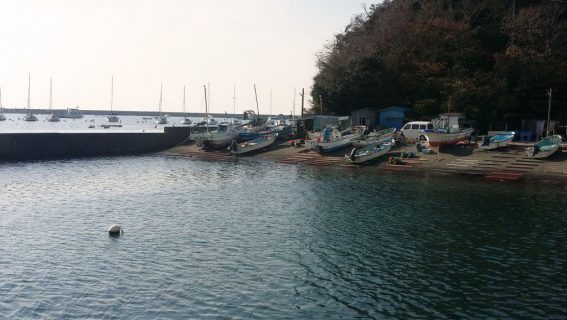 佐島漁港にて