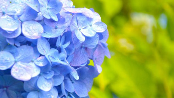 梅雨対策は自然素材の内装材で