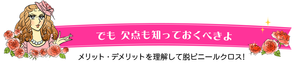 でも欠点も知っておくべきよ　メリット・デメリットを理解して脱ビニールクロス！