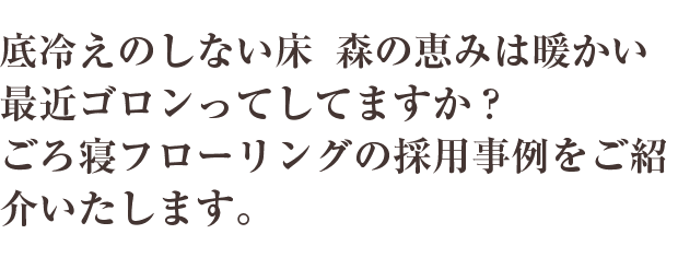 底冷えのしない床 森の恵みは暖かい最近ゴロンってしてますか？ごろ寝フローリングの採用事例をご紹介いたします。