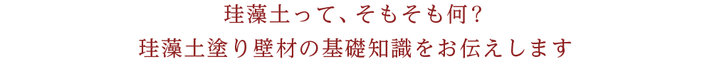 珪藻土って、そもそも何？珪藻土塗り壁材の基礎知識をお伝えします