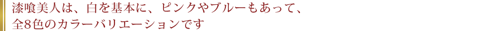 漆喰美人は、白を基本に、ピンクやブルーもあって、全8色のカラーバリエーションです。