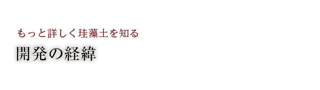 開発の経緯