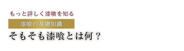 そもそも漆喰とは何？