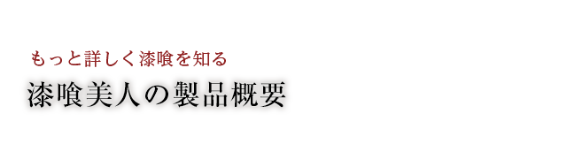 漆喰美人の製品概要