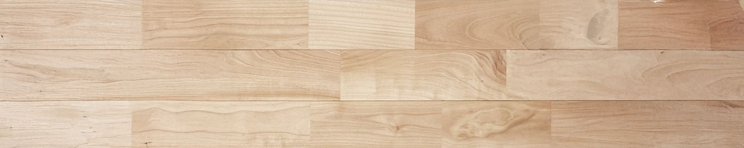 サクラ（西南カバ/シルバーチェリー）